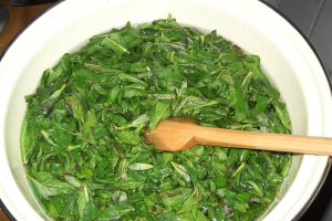 Sirop de menta