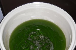 Sirop de menta