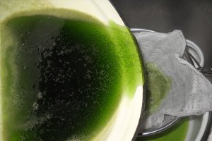 Sirop de menta