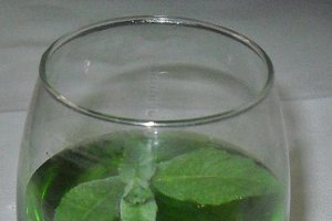 Sirop de menta