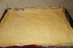 Prajitura cu jeleu de mure