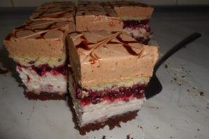 Prajitura cu jeleu de mure