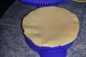 Pateuri de vita cu ceapa - Tupperware