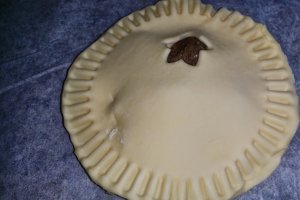 Pateuri de vita cu ceapa - Tupperware