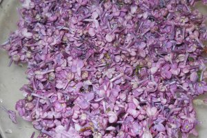 Dulceata din flori de liliac