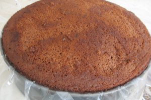 Tort cu fructe din compot - reteta cu nr. 600