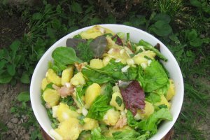 Salata de cartofi cu peste afumat si verdeturi