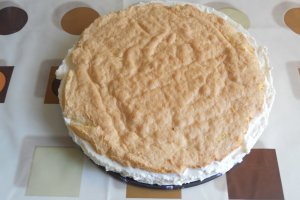 Tort nemtesc