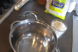 Lapte de ovaz