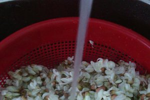 Sirop din flori de salcam