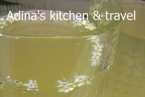 Sirop de soc