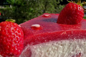 Cheesecake cu căpşuni,fara coacere