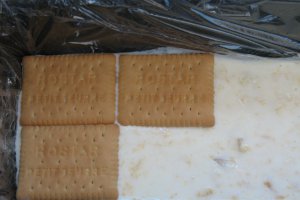 Prajitura cu crema de iaurt si piersici