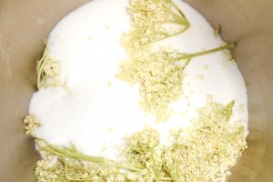 Sirop de soc