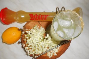 Sirop de soc