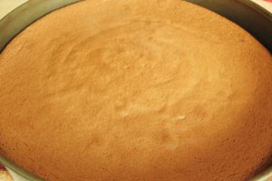 Tort cu crema de ciocolata si capsuni