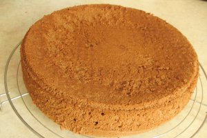 Tort cu crema de ciocolata si capsuni