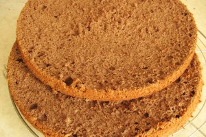 Tort cu crema de ciocolata si capsuni