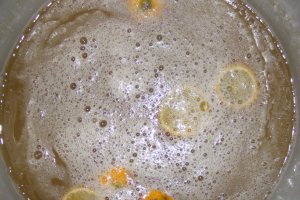 Sirop de soc (pentru iarna)