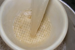 Sirop din muguri de brad (pentru iarna)