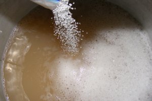 Sirop din muguri de brad (pentru iarna)
