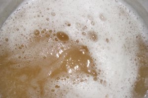 Sirop din muguri de brad (pentru iarna)