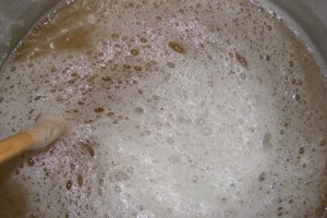 Sirop din muguri de brad (pentru iarna)