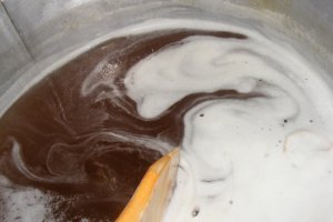 Sirop din muguri de brad (pentru iarna)