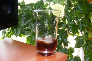 Sirop din muguri de brad (pentru iarna)