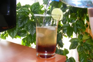 Sirop din muguri de brad (pentru iarna)
