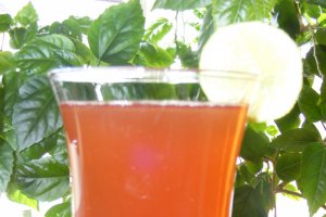 Sirop din muguri de brad (pentru iarna)