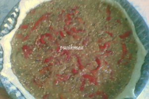 Tarta cu ciuperci,vinete si ardei copt