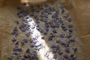 Petale de liliac cristalizate