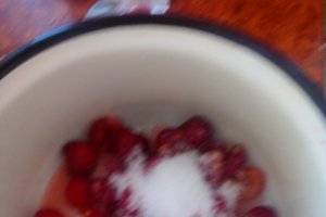 Brownies cu cirese si sos de ciocolata