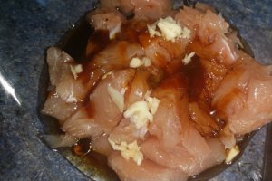 Frigarui Yakitori de curcan