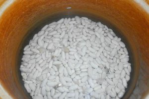 Fasole batuta