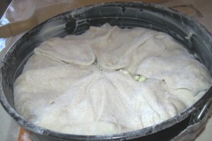 Placinta cu ceapa verde