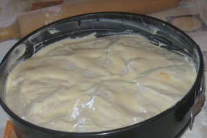 Placinta cu ceapa verde