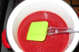 Cheesecake cu capsuni si Green Sugar