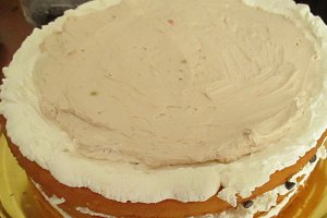 Tort