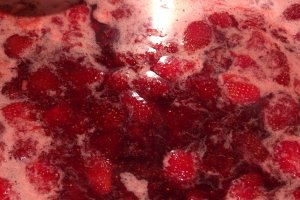 Dulceata de capsuni reteta