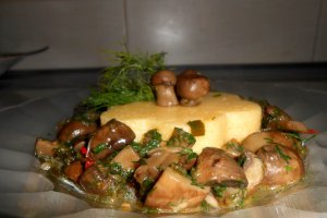 Tocanita cu ciuperci brune