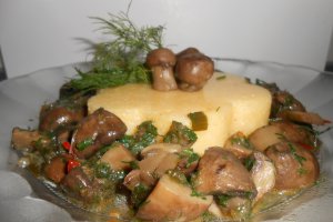 Tocanita cu ciuperci brune