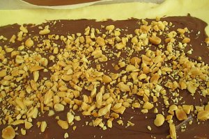 Foietaj cu nutella,alune si biscuiti