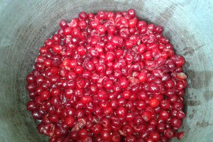 Dulceață de vișine