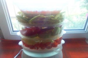 Budinca de tapioca si legume la steamer