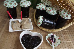 Dulceata de coacaze negre