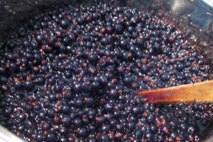 Dulceata de coacaze negre