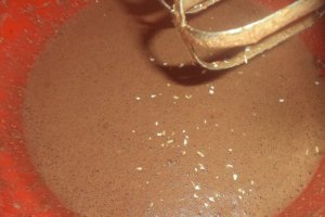 Cheesecake cu blat de cacao _ Dukan