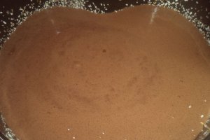 Cheesecake cu blat de cacao _ Dukan
